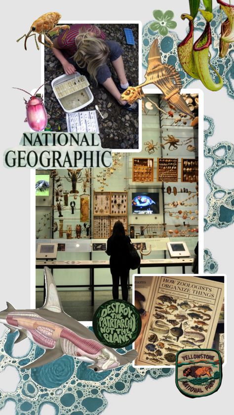 #zoology #zoologist #nature #biology #wildlifebiology #conservation #research #science #dreamlife #museum Zoologist Career, Zoology Career, Animal Infographic, Conservation Biology, Vet Medicine, Wildlife Biologist, Eco Life, Medicine Student, Marine Conservation