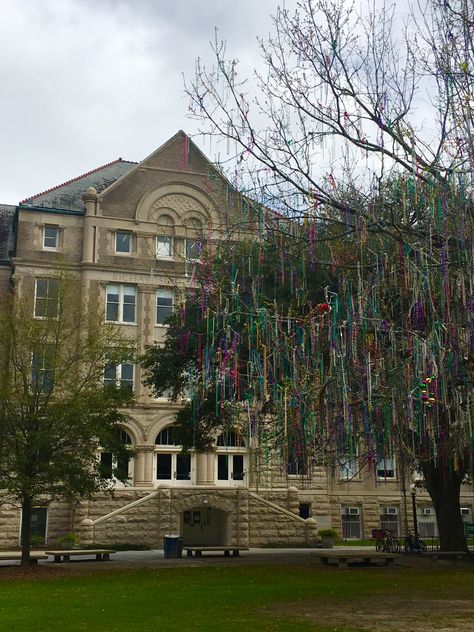 Tulane Outfits, Education Manifestation, Tulane University Aesthetic, Tulane Aesthetic, Southern Academia, High Point University, College Vision Board, College Visit, Tulane University