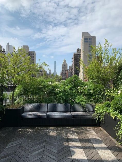 Rooftop Garden Pergola, Urban Terrace Design, Roof Deck Ideas, Nyc Terrace, Roof Terrace Garden, Plants For Balcony, Terrace Planting, Rooftop Garden Design, Balcony Landscape