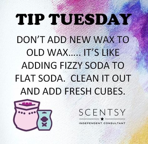 Scentsy Selling Ideas, Scentsy Consultant Bio Ideas, Scentsy Tips And Tricks 2023, Scentsy Active Consultant, Scentsy Posts 2023, Scentsy Tuesday Posts 2023, Party Starts Tomorrow Scentsy, Scentsy Tip Tuesday 2023, Scentsy Facebook Posts