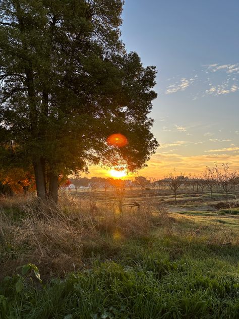 Davis California, One Day I Will, + Core + Aesthetic, Sunny Days, Spring Time, Dream Life, California