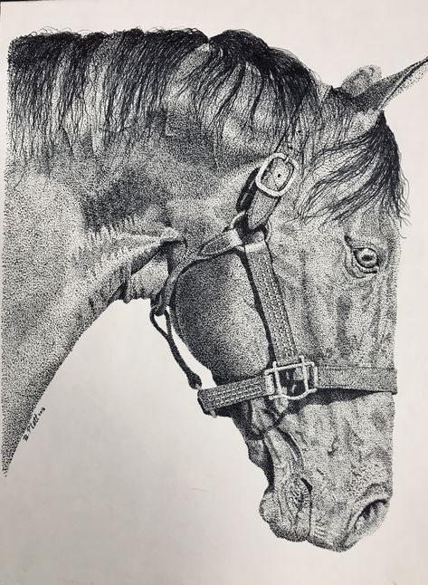 Dot Pen Drawing, Horse Pens, Stippling Drawing, Dotted Drawings, Cattle Ranch, Stippling Art, Hyper Realistic Paintings, Portfolio Site, Horse Drawings