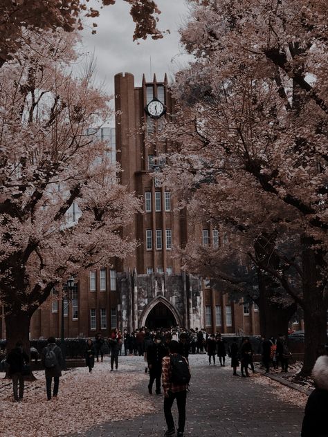 Japan University, University Of Tokyo, Tokyo University, Mind Movie, Newspaper Background, Tokyo Aesthetic, Lions Gate, Profile Pictures Instagram, University Life