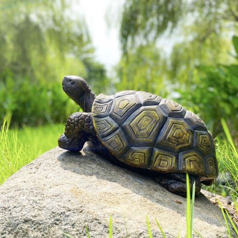 Bayou Breeze Anzalone Turtle Outdoor Garden Statue & Reviews | Wayfair Yard Statues, Turtle Garden, Patio Pond, Chinese Buddha, Turtle Sculpture, Outdoor Garden Statues, Turtle Figurines, Porch Garden, Garden Ornament