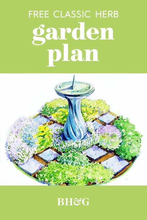 Herb Garden Plan, Star View, Black Thumb, Herb Garden Design, Garden Plan, Green Things, Aromatic Plant, Garden Plans, Plant List