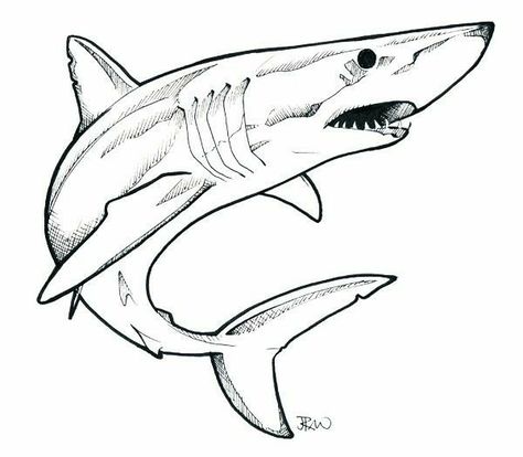 Mako Shark Tattoo, Great White Shark Drawing, Shark Drawing Easy, Shark Outline, Hai Tattoo, Shark Drawing, Nurse Shark, Mako Shark, Shark Tattoo