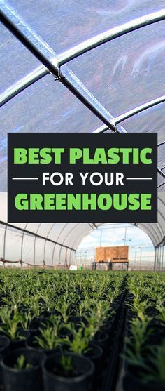 Building A Greenhouse, Greenhouse Farming, Diy Greenhouse Plans, Best Greenhouse, Outdoor Greenhouse, Build A Greenhouse, Indoor Greenhouse, Greenhouse Ideas, Home Greenhouse