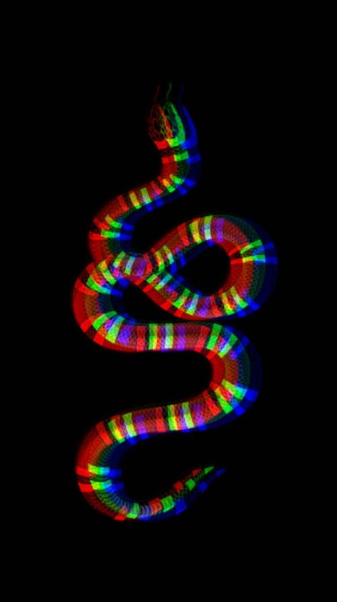 Neon Snake, Snake Black, Snake Art, Black Background, Black Backgrounds, Neon, Wallpapers, Quick Saves, Black