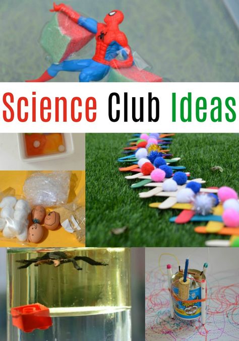 school science club ideas perfect for after school activities! Science Club Activities, After School Club Activities, After School Activities, Room Parent, School Age Activities, After School Care, Science Experiments For Kids, Experiments Kids, Film Canister