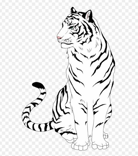 Tigers Drawing, Tiger Drawing Easy, Tiger Art Drawing, Tiger Outline, Tiger Sitting, Draw A Tiger, Tiger Clipart, Tiger Sketch, Angry Tiger