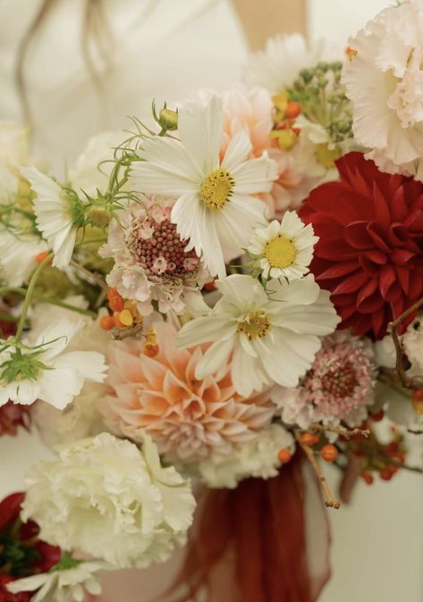 Red and blush bridal bouquet Cosmos, scabiosa, dahlia, ilex, lisianthus Photo by Alex Davis Eve Floral Co.