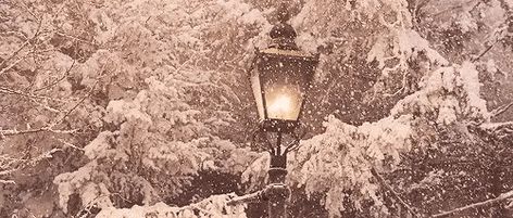 Lamppost Narnia, Archangel Cassiel, Archangel Haniel, Peter Pevensie, Garden Winter, Miss Peregrine, Banner Gif, Silly Cats Pictures, Chronicles Of Narnia