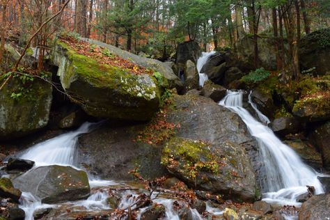 Allegheny National Forest, Allegheny Mountains, Forest Hiking, Forest Camp, Road Trip Map, Pennsylvania Travel, Fall Road Trip, Hiking Spots, Walk In The Woods