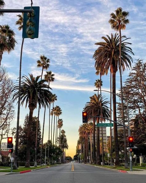 Beverly Hills California, Scene Photo, Street Scenes, California Usa, Santa Barbara, Tourist Attraction, Palm Springs, Southern California, Beverly Hills