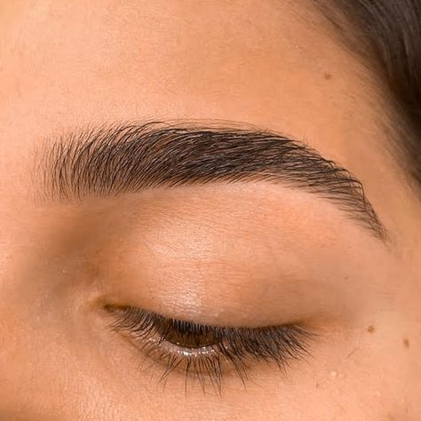 Eyebrow Claim, Arched Eyebrows Natural, Soft Arch Eyebrows, Neat Eyebrows, Symmetrical Brows, Nice Eyebrows, Good Eyebrows, Good Brows, Big Eyebrows