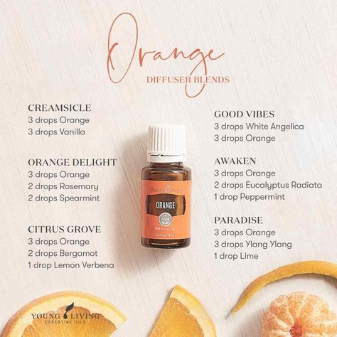 Not sure what to do with your bottle of Orange essential oil? Diffuse these sweet, citrusy, and yummy diffuser blends! Creamsicle (Orange, Vanilla); Good Vibes (White Angelica, Orange); Orange Delight (Orange, Rosemary, Spearmint); Awaken (Orange, Eucalyptus Radiata, Peppermint); Citrus Grove (Orange, Bergamot, Lemon Verbena); and Paradise (Orange, Ylang Ylang, Lime). #aromatherapy #essentialoils #diffuserblends #youngliving #yleo Orange Essential Oil Young Living, Young Living Diffuser Recipes, Orange Essential Oil Blends, Young Living Essential Oil Diffuser, Young Living Oils Recipes, Living Oils Recipes, Essential Oil Diffuser Blends Recipes, Young Living Essential Oils Recipes, Essential Oils Cleaning