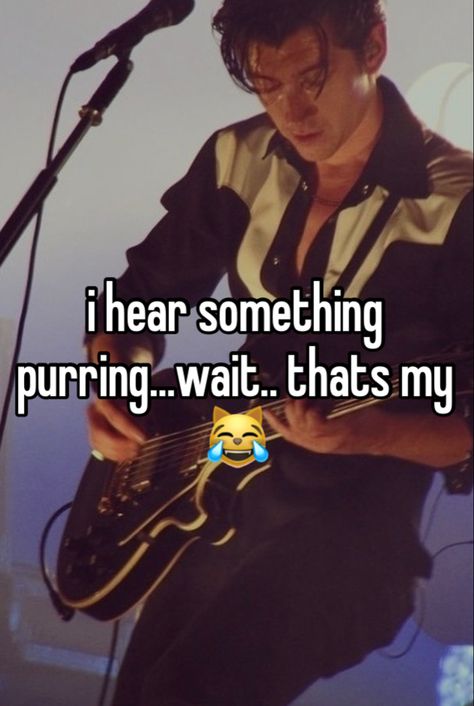 Alex Turner Whisper, Girl Dinner, Alex Turner, Whisper Quotes, Arctic Monkeys, Literally Me, Monkeys, Turtles, Memes