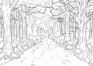 Ce coloriage représente un chemin interminable en plein coeur d'une forêt ! Forest Coloring Pages, Forest Drawing, Jungle Forest, Forest Mural, Coloring Pages For Adults, Kids Wood, Detailed Drawings, Art Drawings For Kids, Alam Yang Indah