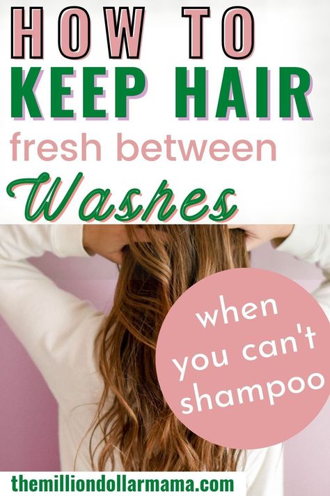 These 4 tips can help you keep your hair fresh and looking great even if you don't have time to wash it! Easy, simple tips to keep you in great looking hair! Dry Frizzy Hair, Batiste Dry Shampoo, Healthy Hair Routine, Using Dry Shampoo, Gym Hairstyles, Hair Mistakes, Healthy Hair Care, Diy Hair Care, Fresh Hair