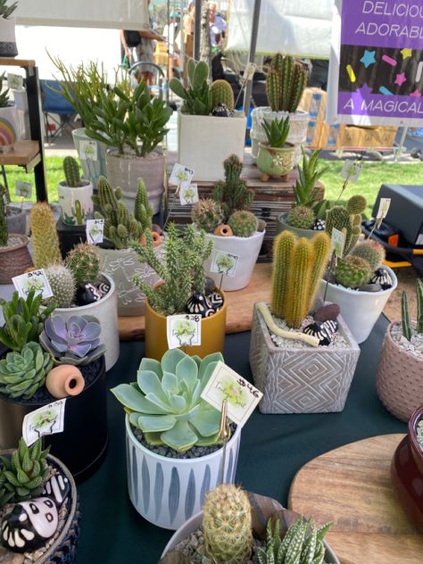 Selling Plants At Farmers Market, Farmers Market Ideas To Sell, Plant Business, Farmers Market Display, Plant Inspiration, Booth Displays, Market Display, Craft Booth Displays, Succulent Garden Diy