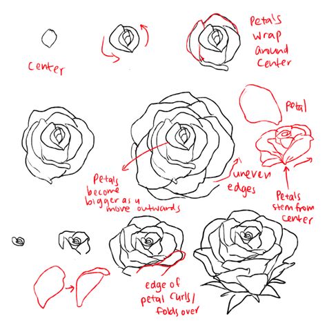 ALMOST AS COOL AS YOU — THERE ARE DIFFERENT KINDS OF PEONIES idk which one... How To Draw Roses, Hur Man Ritar Blommor, Draw A Rose, Rose Step By Step, Flower Drawing Tutorials, Rose Drawing, Roses Drawing, Floral Drawing, Song Video