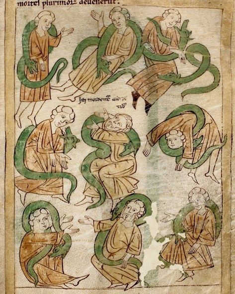 Medieval Snake, Middle Ages Art, Funny Medieval, Snake Party, Medieval Drawings, Medieval Artwork, Illustrated Manuscript, Medieval World, Medieval Manuscript