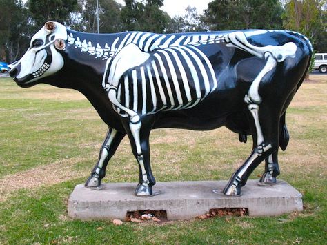 The amazing adventures of Cazzbo: Shepparton Cows Cow Skeleton, Patchwork Cow, Cow Parade, Ghost Light, Painted Pony, Skeleton Art, Unique Sculptures, Cow Art, Halloween Inspiration