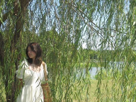 Weeping Willow Photoshoot, Willow Tree Senior Pictures, Willow Tree Photoshoot, Youtube Photoshoot, Sustained Investigation, Weeping Trees, Senior Photoshoot Poses, Senior Stuff, Tree Photo