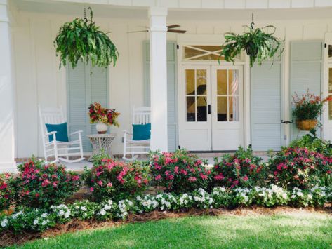 The Ultimate Guide to Southern Gardens Azaleas Landscaping, Southern Gardens, Azaleas Garden, Southern Garden, Daffodil Bulbs, Garden District, Front Landscaping, Flower Gardening, Beach Bungalows