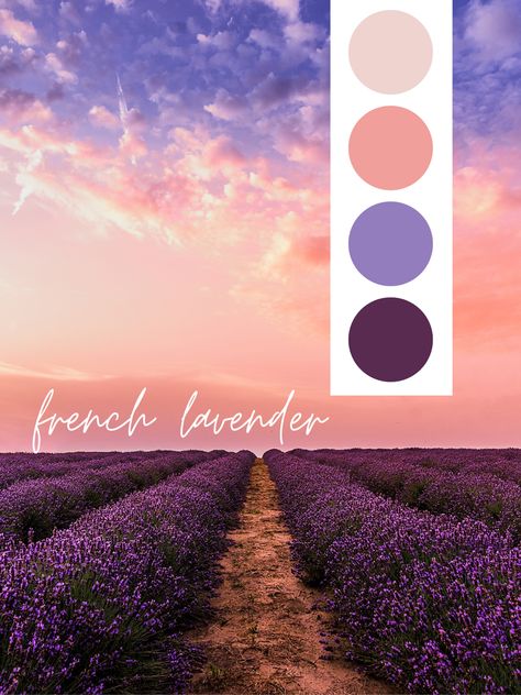 French Lavender Color Palette, French Color Palette, Lavender Color Scheme, Wedding Color Schemes Purple, Lavender Color Palette, Peach Color Palettes, Romantic Colors Palette, French Lavender, French Colors