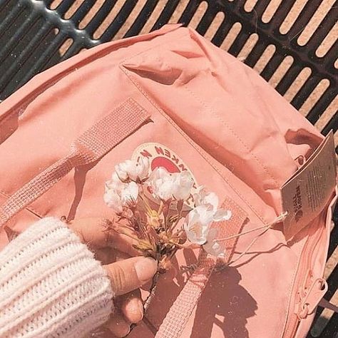 🌈🌈rainbow aesthetics 🌈🌈 on Instagram: “🍑 - what your favourite style fjallraven kanken? - #peach #peachy #peachaesthetic #peachyy #peaches #peachaesthetics #pinterest…” Photowall Ideas, Peach Aesthetic, Orange Aesthetic, Pastel Pink Aesthetic, Pink Vibes, Pink Themes, Aesthetic Colors, Aesthetic Themes, Aesthetic Images