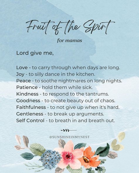 Spiritual Fruits Bible, Prayers For Fruit Of The Spirit, Fruits Of The Spirit Scripture, How To Meditate On The Word Of God, Fruit If The Spirit, Gentleness Fruit Of The Spirit, Fruit Of The Spirit Tattoo, Fruits Of The Spirit Wallpaper, Fruit Spirit