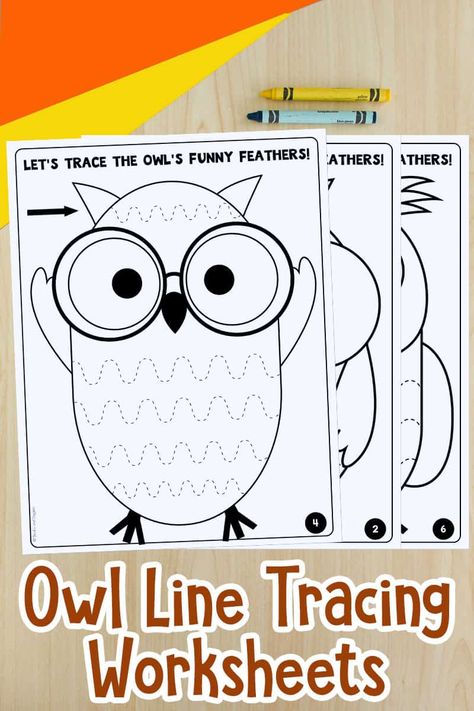 Owls Kindergarten, Nocturnal Animals Activities, Owl Preschool, Owl Activities, Line Tracing Worksheets, Line Tracing, Animal Lessons, Owl Coloring Pages, Fall Preschool Activities