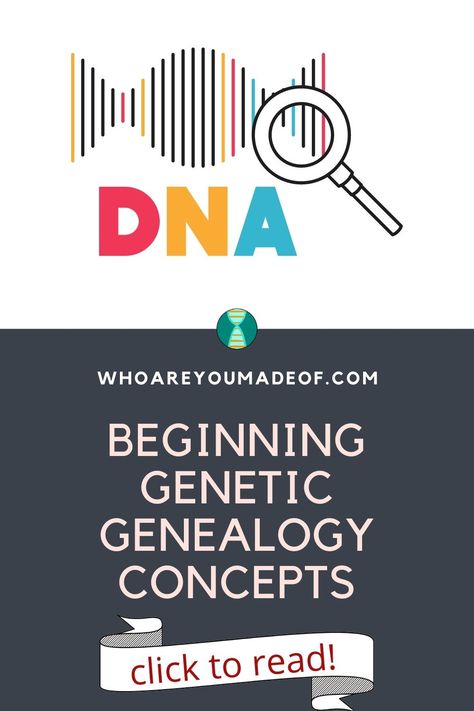 Genetic Genealogy, Dna Genealogy, Dna Results, Family Tree Genealogy, Genealogy Free, Genealogy Research, Genetic, The Basics, Family History