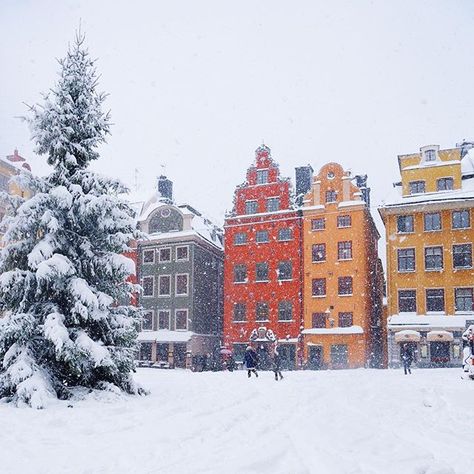 Snow over Stortorget, the oldest square in Stockholm (mentioned as early as 1420)! ❄️ These colorful houses might just be the most photographed houses in the city. #visitstockholm Stockholm Winter, Stockholm Old Town, Kingdom Of Sweden, Visit Stockholm, Stockholm City, Sweden Travel, Winter Wonderland Christmas, Gothenburg, Snow Scenes