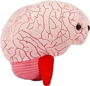 Amazon.com: GIANTmicrobes Brain Plush, Brain Toy, Brain Stuffed Animal, Brain Gifts For Neurologist, Brain Surgery Recovery Gifts, Neurology Gifts, Neuroscience Gifts, Brain Injury Gift, Brain Decor, Biology Gift : Toys & Games Brain Surgery Recovery, White Coat Ceremony Gift, Anatomical Brain, Surgery Recovery Gift, Fun Brain, Get Well Wishes, The Human Brain, Recovery Gifts, Medical Gifts