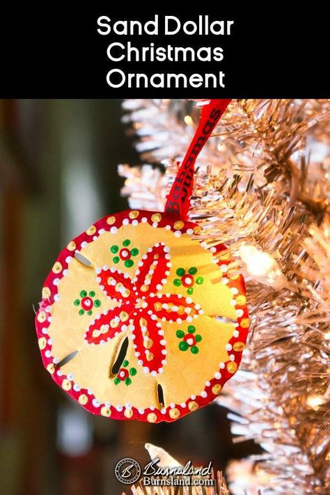 Sand Dollar Christmas Crafts, Painted Sand Dollars Christmas, Christmas Sand Dollars, Sanddollar Ornaments Diy, Painting On Sand Dollars, Painted Sand Dollars Ideas, Sand Dollar Christmas Ornaments Diy, Painting Sand Dollars, Sand Dollar Christmas Ornaments