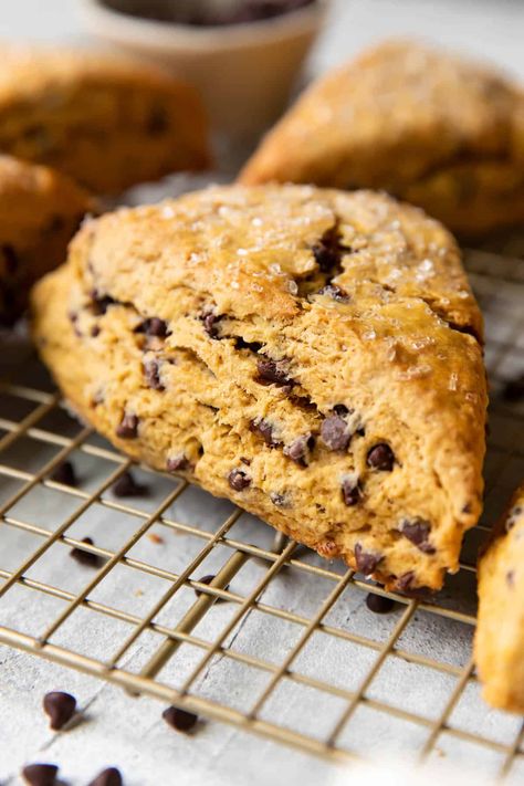 These tender and flaky pumpkin chocolate chip scones are full of pumpkin spice flavor, chocolate chips and are the perfect fall treat to bake. They are moist on the inside and crumbly on the outside, the perfect scone. Cranberry Cheesecake Bars, Pumpkin Scones Recipe, Chocolate Chip Scones, Pecan Sticky Buns, Baker By Nature, Chocolate Scones, Scones Recipe Easy, Scones Easy, Scones Ingredients