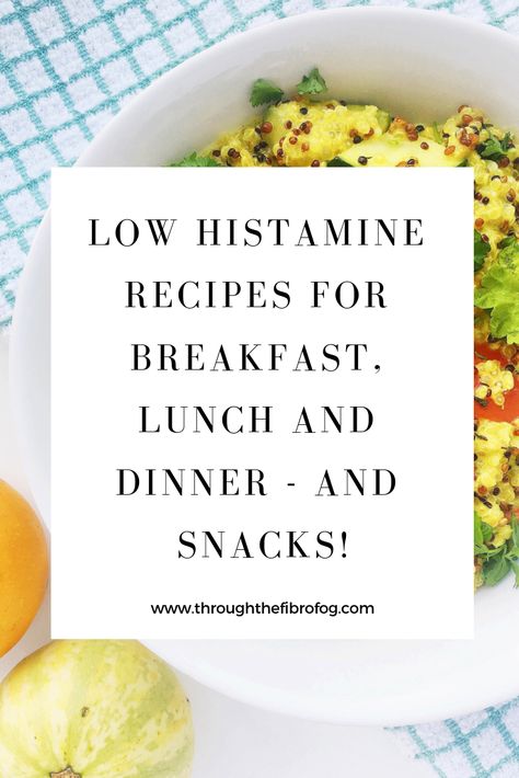 Mcas Low Histamine Recipes, Low Histamine Keto Recipes, Low Histamine Aip Recipes, Low Antihistamine Diet, Paleo Low Histamine Recipes, Mold Free Diet Recipes, Low Histamine Recipes Lunch, Gluten Free Low Histamine Recipes, Low Histamine Snack Ideas