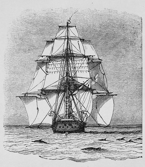 Hms Beagle, First Fleet, Sailing Boats, Fish Drawings, Printed Matter, Charles Darwin, The Deck, Tall Ships, A Drawing