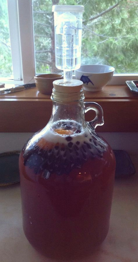 homemade mead  http://www.growforagecookferment.com/how-to-make-a-gallon-of-mead/ Mead Wine, How To Make Mead, Mead Recipe, Homemade Alcohol, Honey Wine, Homemade Liquor, Homemade Wine, Fermented Drink, Hard Cider