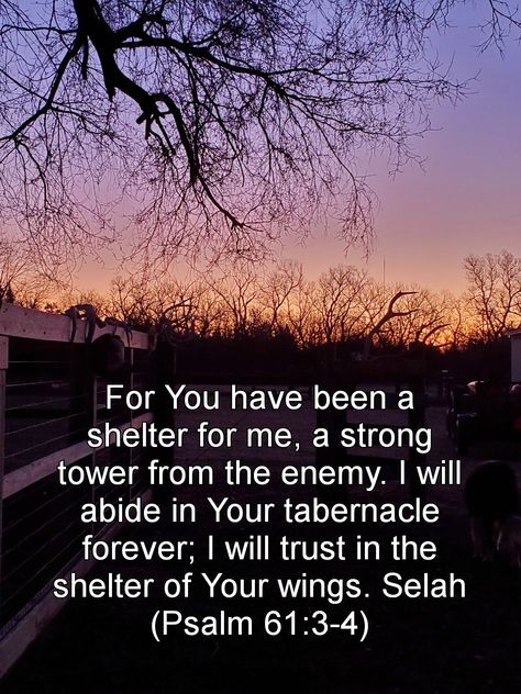 Psalms 61, Scripture Posters, Strong Tower, Psalm 61, Prayer Life, Worship God, Word Up, Faith Inspiration, Inspirational Bible Verses