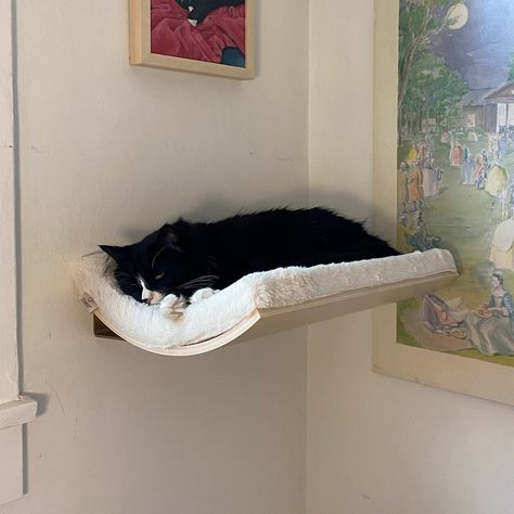 Cat Wall Shelves Curved Cat Shelf Floating Cat Bed Cat - Etsy Italia Wall Mounted Cat Bed, Cat Shelf, Cat Window Perch, Window Perch, Cat Wall Shelves, Cat Wall Furniture, Shelf Floating, Floating Bed, Cat Window