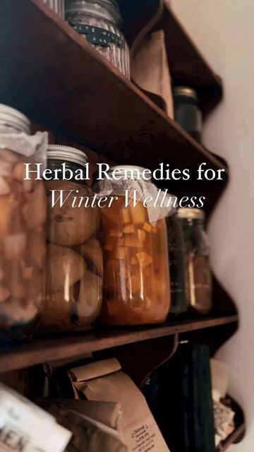 The Woodland Witch on Instagram: "I recently shared these recipes on my YouTube channel to help aid you in combating seasonal sickness and boosting your immunity in the winter months! These 3 remedies are beginner friendly and staples in my apothecary every winter season. **Please consult your trusted herbalist and/or primary Dr. before incorporating any herbal remedy into your daily life.** . . . #herbalist #herbalistsofinstagram #herbalism #herbalistwitch #greenwitch #greenwitchcraft #herba Woodland Witch, Nature Witch, Medicinal Garden, Winter Wellness, Green Witchcraft, Apothecary Cabinet, Herbal Apothecary, Immune Boosting, Winter House