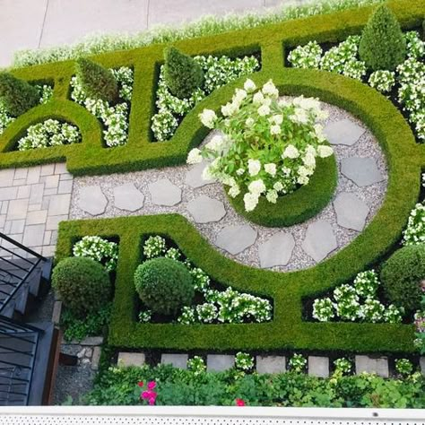 Formal Garden Design, Parterre Garden, Boxwood Garden, Formal Garden, Fine Gardening, Italian Garden, Healthy Garden, Formal Gardens, Garden Pictures