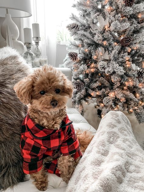 Brown Christmas Decor, Merry Chrysler, Dog Christmas Photos, Christmas Puppies, Pinecone Christmas, Pine Cone Christmas Tree, Winter Things, Neutral Christmas, Season Greetings