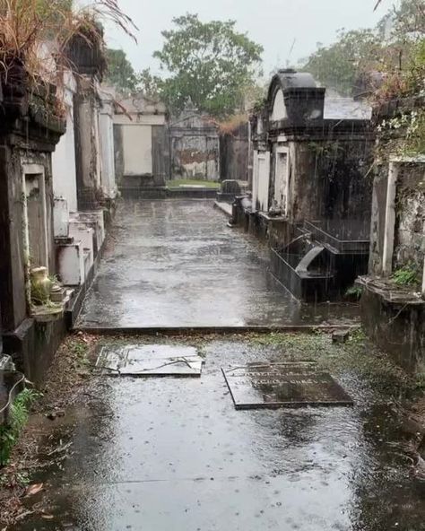 𝖛𝖊𝖓𝖚𝖘 𝖉𝖔𝖔𝖒 — Heavy rain on a cemetery in New Orleans (shared... Magic Illusions, Davina Claire, Inner Demons, Bourbon Street, Southern Gothic, Gothic Aesthetic, Heavy Rain, Dark Photography, Vampire Diaries The Originals