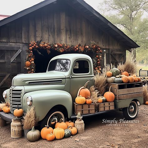 Christmas Mini Sessions Outdoor, Agritourism Farms, Fancy Farm, Fall Birthday Parties, Barn Parties, Pole Barn House Plans, Fall Fest, Christmas Mini Sessions, Fall Farmhouse