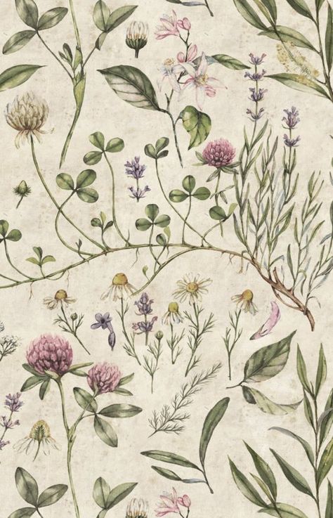 Illustration Botanique Vintage, Vintage Style Wallpaper, Deco Champetre, Illustration Wallpaper, Vintage Floral Wallpapers, Illustration Botanique, Pine Furniture, Botanical Wallpaper, Photo Style