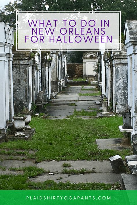 Looking to experience Halloween in New Orleans? There's so many amazing spooky and festive things to do - here are 31+ spooky choices! halloween in New Orleans | halloween travel | halloween inspiration | haunted house new orleans | Halloween in Louisiana | Spooky New Orleans | New Orleans for Halloween Haunted New Orleans, New Orleans October Outfit, Halloween New Orleans, Spooky New Orleans, Halloween In New Orleans, New Orleans Witch, New Orleans Halloween, Hotel Monteleone, Nouvelle Orleans